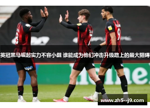 英冠黑马崛起实力不容小觑 谁能成为他们冲击升级路上的最大阻碍 英冠黑马崛起实力不容小觑 谁能成为他们冲击升级路上的最大阻碍