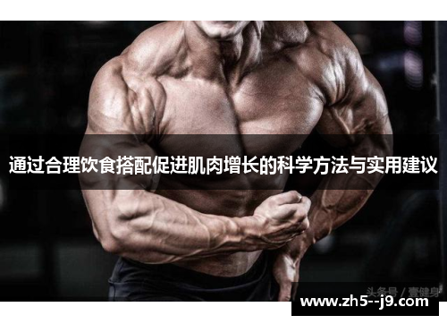 通过合理饮食搭配促进肌肉增长的科学方法与实用建议 通过合理饮食搭配促进肌肉增长的科学方法与实用建议