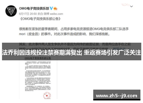 法乔利因违规投注禁赛期满复出 重返赛场引发广泛关注 法乔利因违规投注禁赛期满复出 重返赛场引发广泛关注